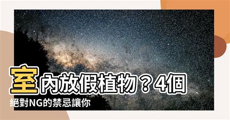 4月七日 室內放假植物